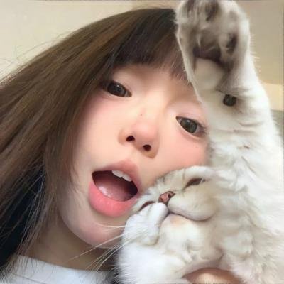 犬爱 在线观看